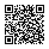 杀马特团长语音盒