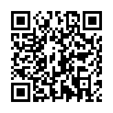 皮皮的小镇生活