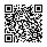 天才杀手2中文版