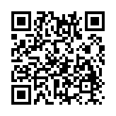 愤怒的小鸡之冲天炮